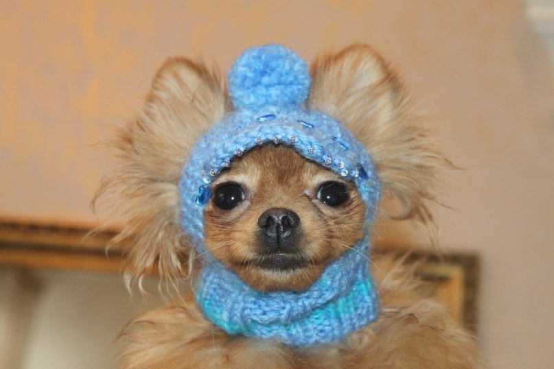 Олежка Любимый | 