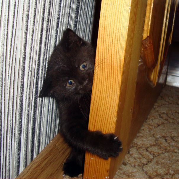 №80, Маргарита Антипова, Елец №80, Маргарита Антипова, Елец