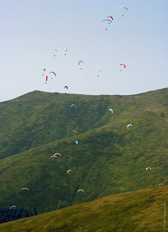 Ольга Grig | Краматорск