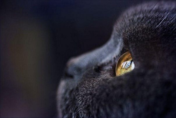 №13, Эльвира Гареева, Туймазы №13, Эльвира Гареева, Туймазы