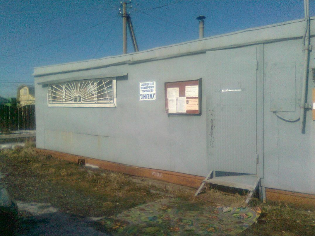 Ольга Дойникова | Санкт-Петербург