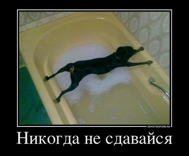 Антон Колле | 