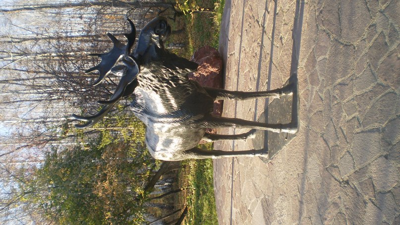 Евгений Береговой | Чебаркуль