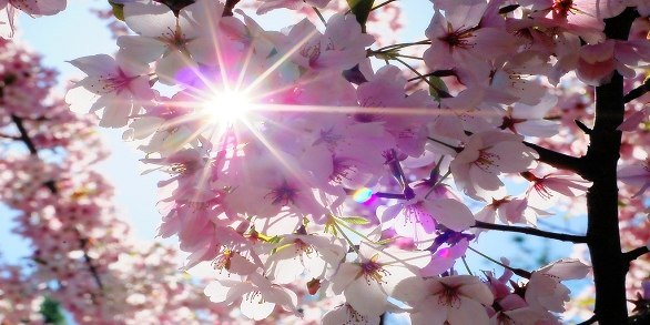 Лилия Хаертдинова Умм Халима ۞ | Ульяновск