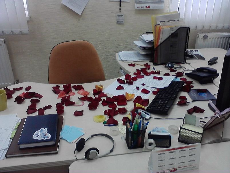 №136, Галина Кочеткова, 38 лет, Москва №136, Галина Кочеткова, 38 лет, Москва