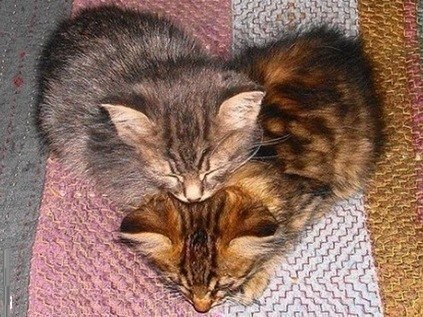 Алёнка Ускова алексеевна | Челябинск