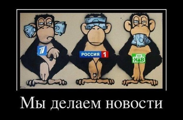 Николай Афонин | Санкт-Петербург