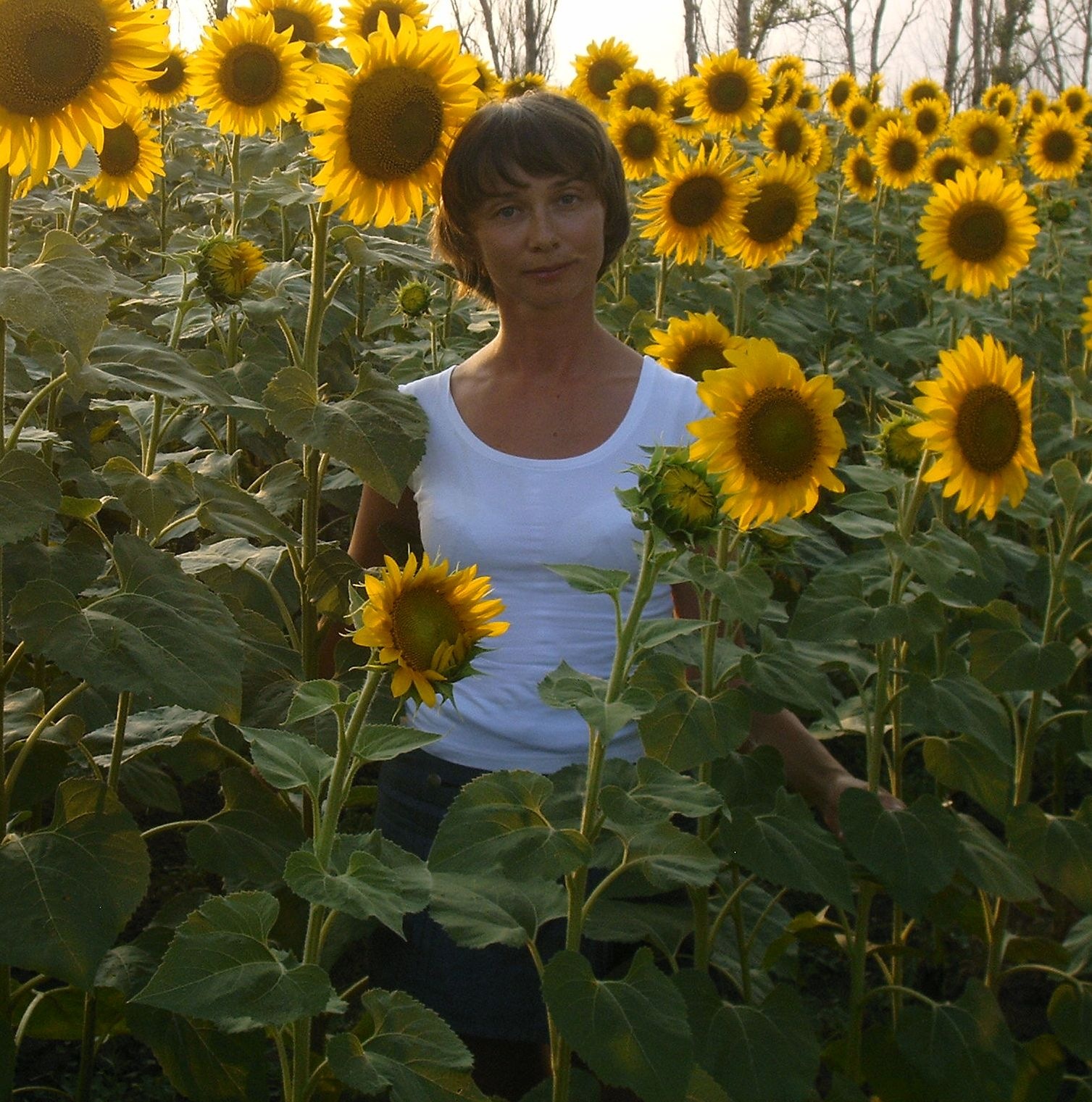 Наталья Гаранина, Переславль-Залесский | Поиск информации