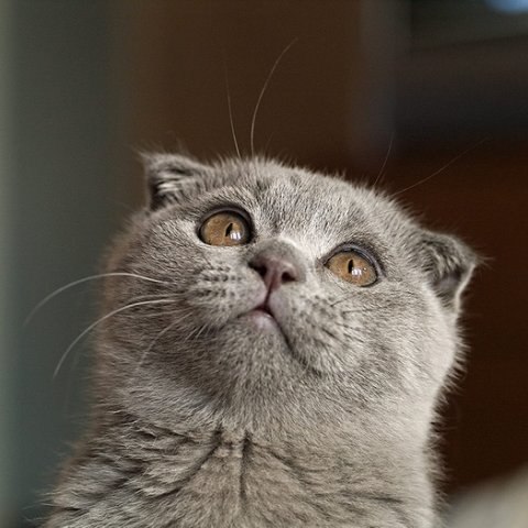 Алиночка Алина ✿ܓ✿ܓ✿ܓ | 