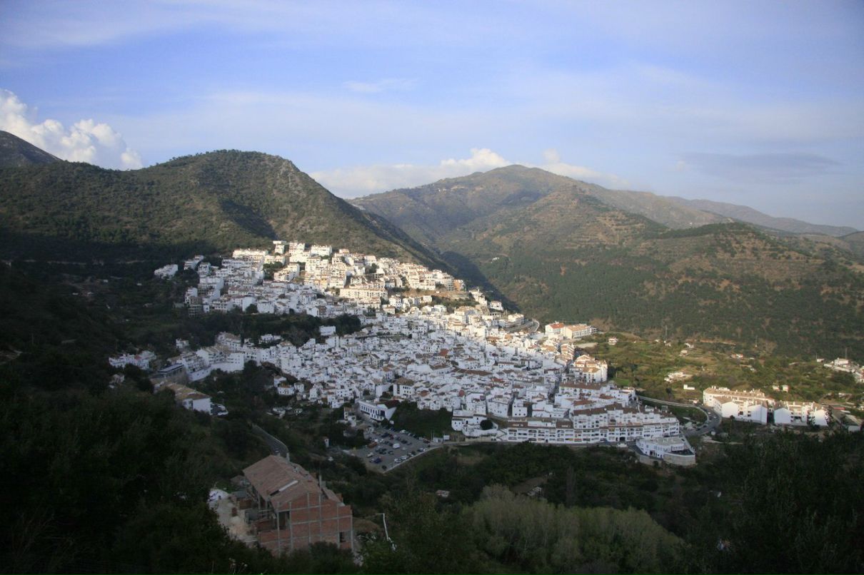 Forrest Treeman | Forest City