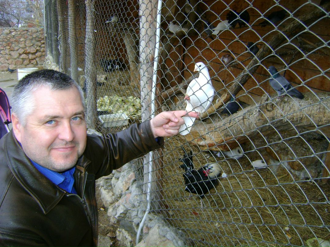 Андрей Богорода | 