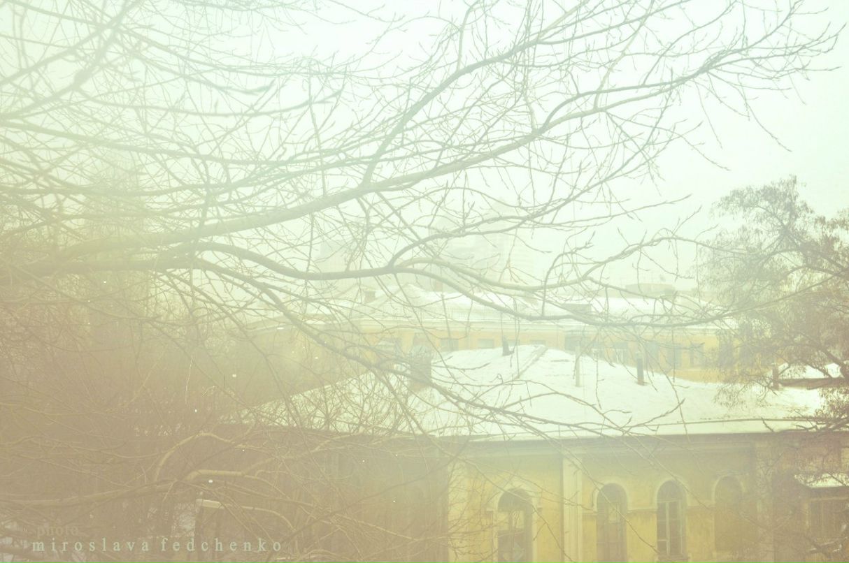 Miroslava Fedchenko | Киев