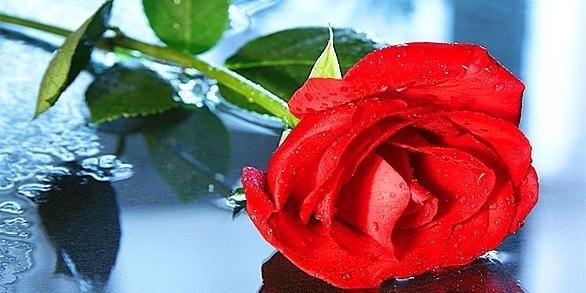 №6, Нияз Курбанов, 38 лет, İstanbul №6, Нияз Курбанов, 38 лет, İstanbul