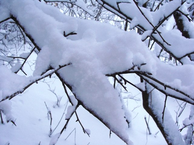 Алла Дердюк | Хмельницкий