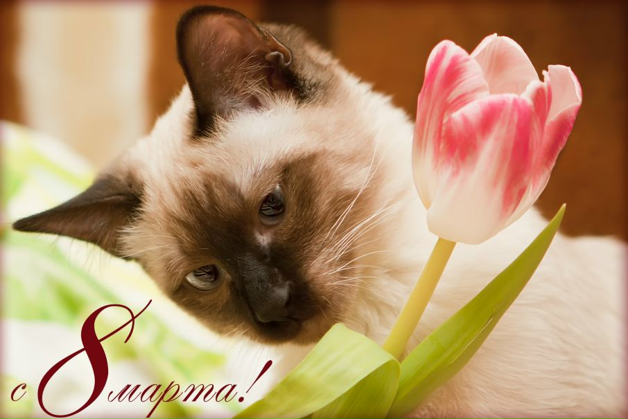 №94, Денис Кириченко, 43 года, Москва №94, Денис Кириченко, 43 года, Москва