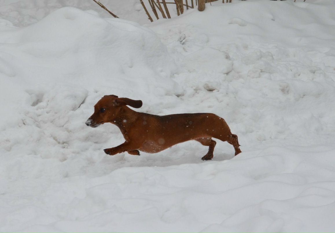 Ольга Агафонова | Таганрог