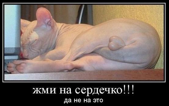 Евгений Полянский | Орск