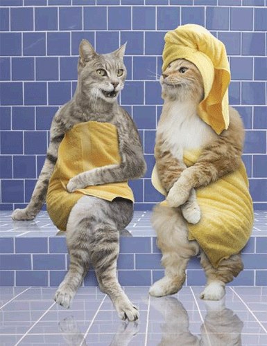 Татаська Чичерина | Казань