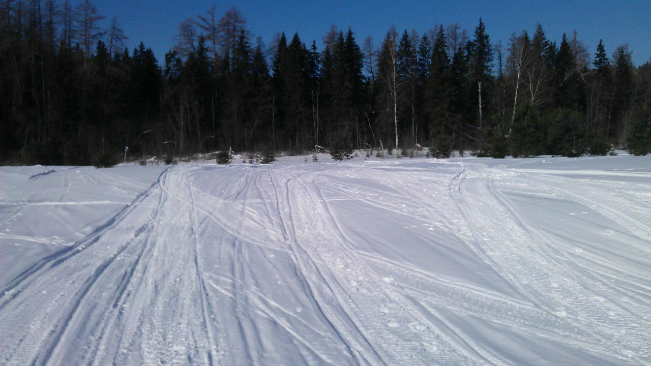 Максим Александров | Москва