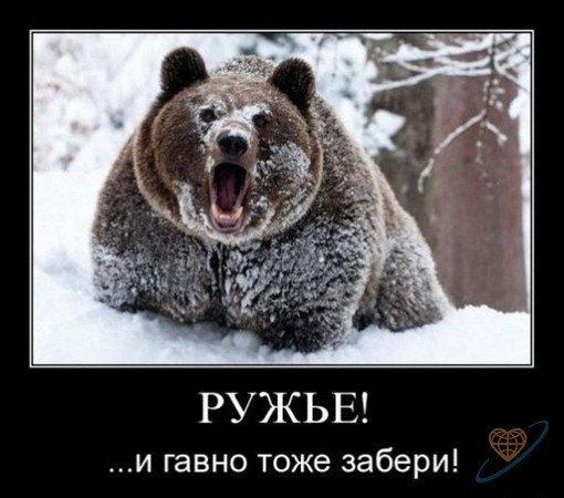 Юрий Зуев | Петрозаводск