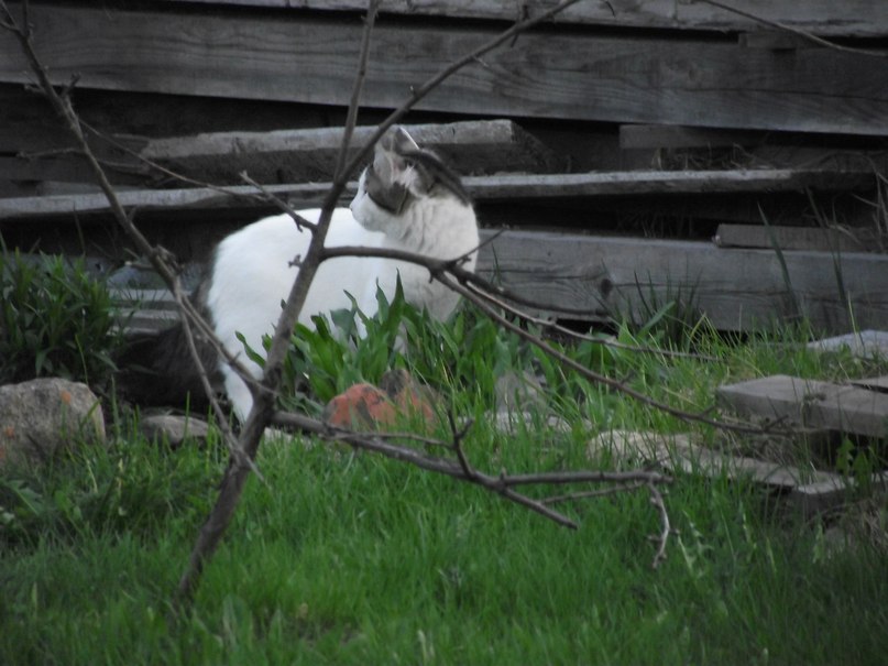 Надежда Пирогова | Петрозаводск