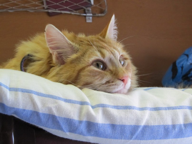 Владимир Зайцев | Северодвинск