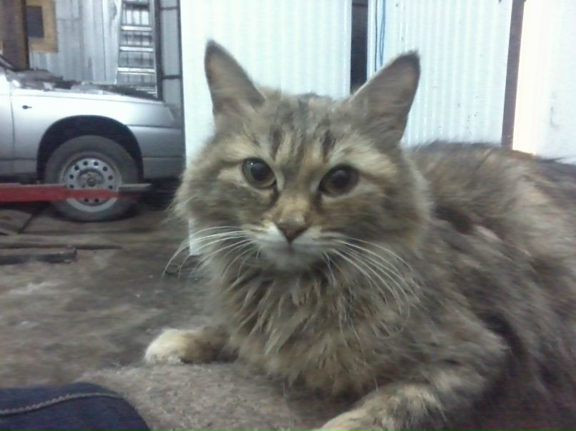 Дарья Семеренко | Похвистнево