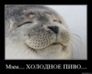 №26 Александр Фукин