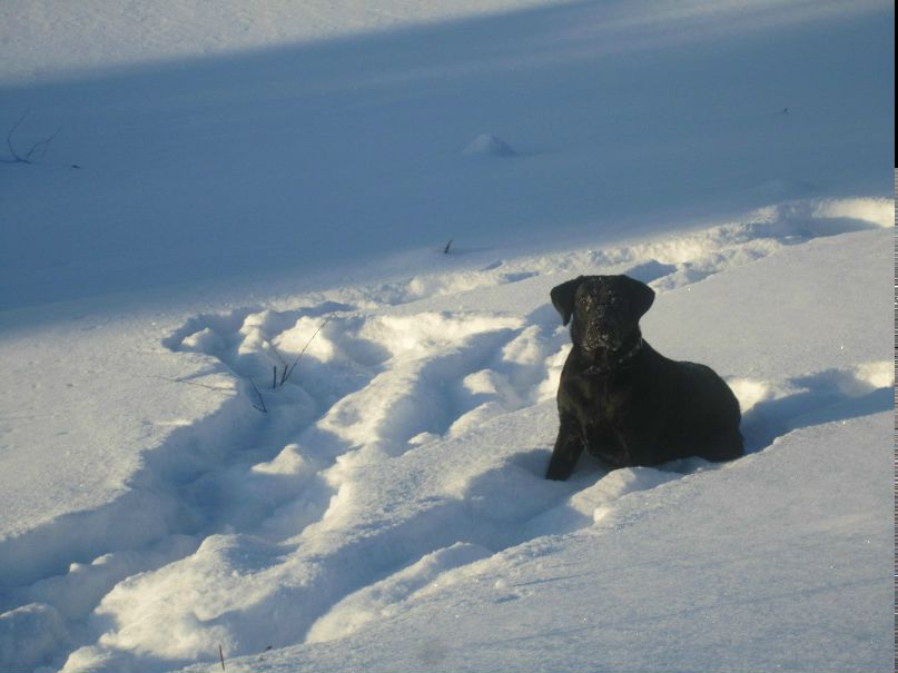Юлия Кузнецова | Сыктывкар