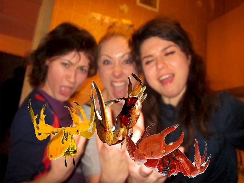 Екатерина Шаманская | 