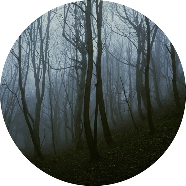 Ян Величковский | Москва