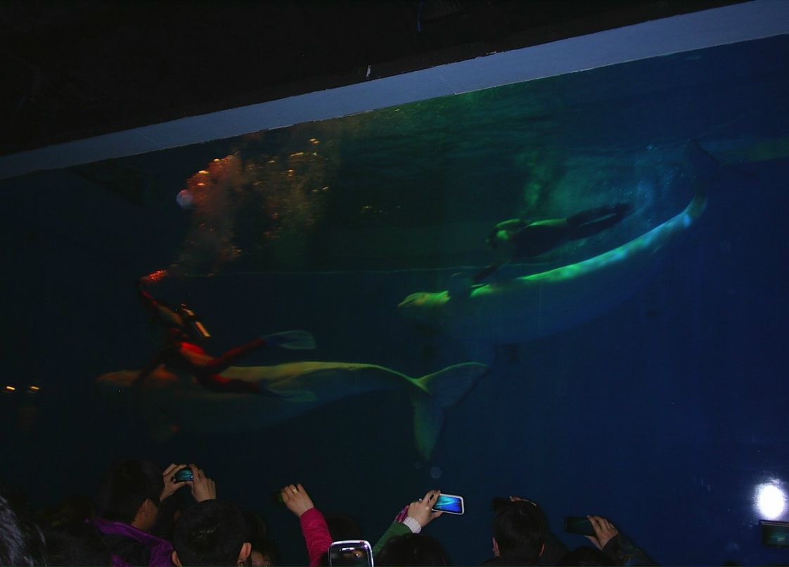 Сергей Пономарев ˙·٠✈ | Новосибирск