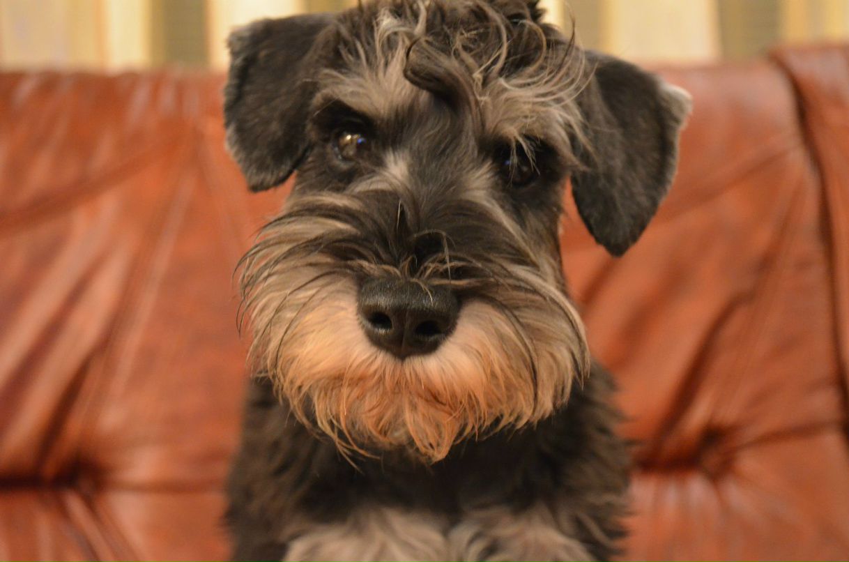 Оксана Андреева | Киев