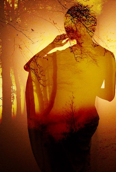 Елена Кудышкина Dirionaro | 