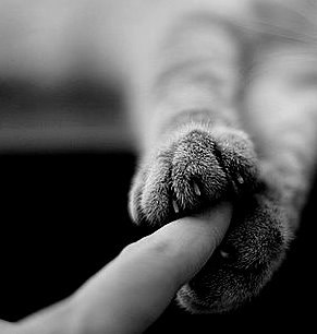 Анастасия Барламова | Краснодар