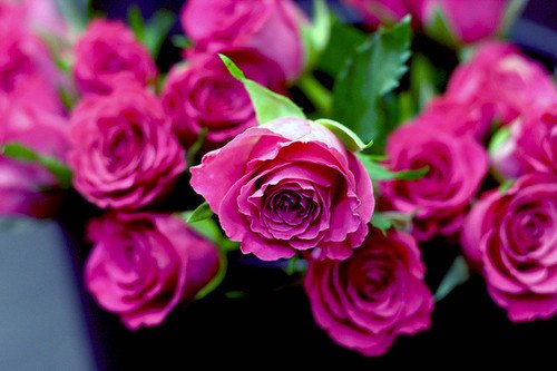 Надія Марценюк | 