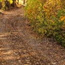 №40, Олег Водинов, Череповец №40, Олег Водинов, Череповец