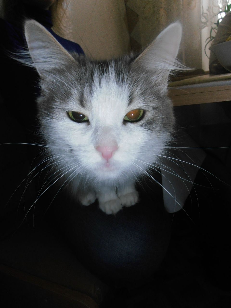 Анастасия Кабак ❤ | Харьков