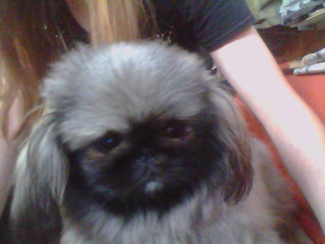 Юлия Лебедева | Москва