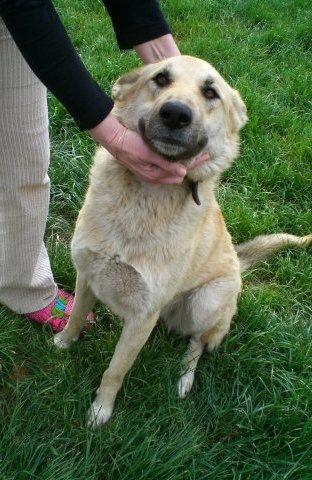 №6, Женя Акимова №6, Женя Акимова