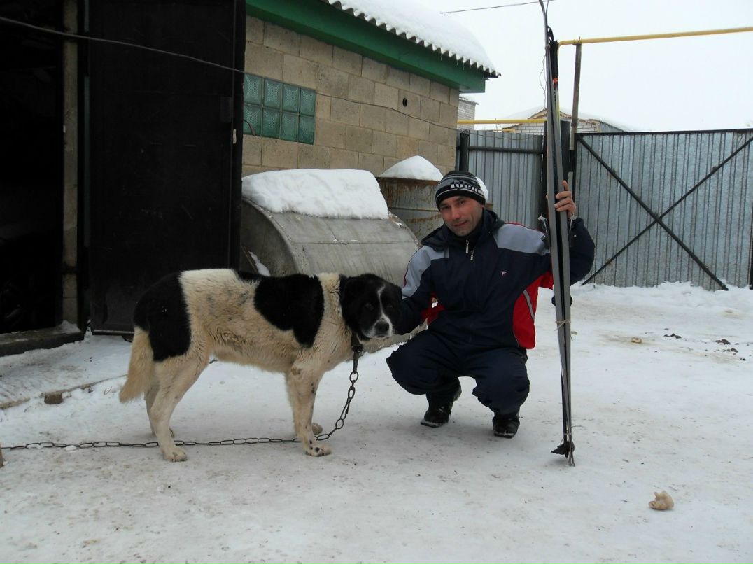 Айрат Альмухаметов | Мензелинск