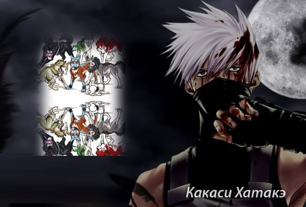 Максим Петрушин | Москва