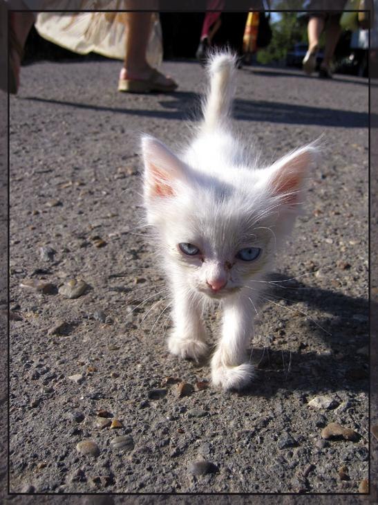 Татьяна Чувилёва | Новосибирск