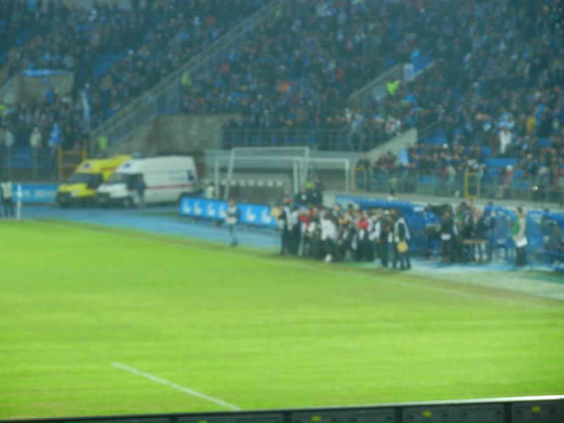 Елена Новоселова | Санкт-Петербург