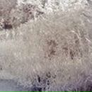 Людмила Максименкова | Санкт-Петербург