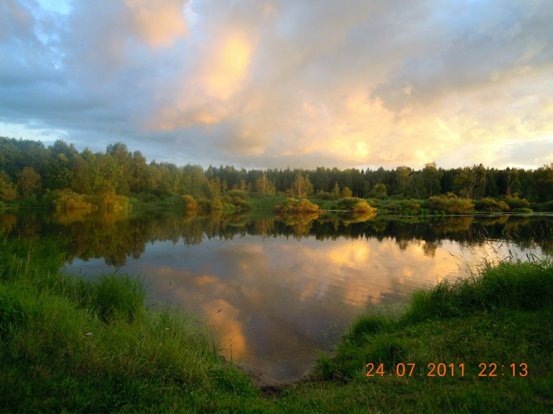 Елена Никитина | Санкт-Петербург