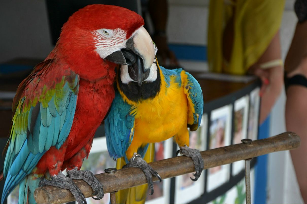 Федор Афанасьев | Костомукша