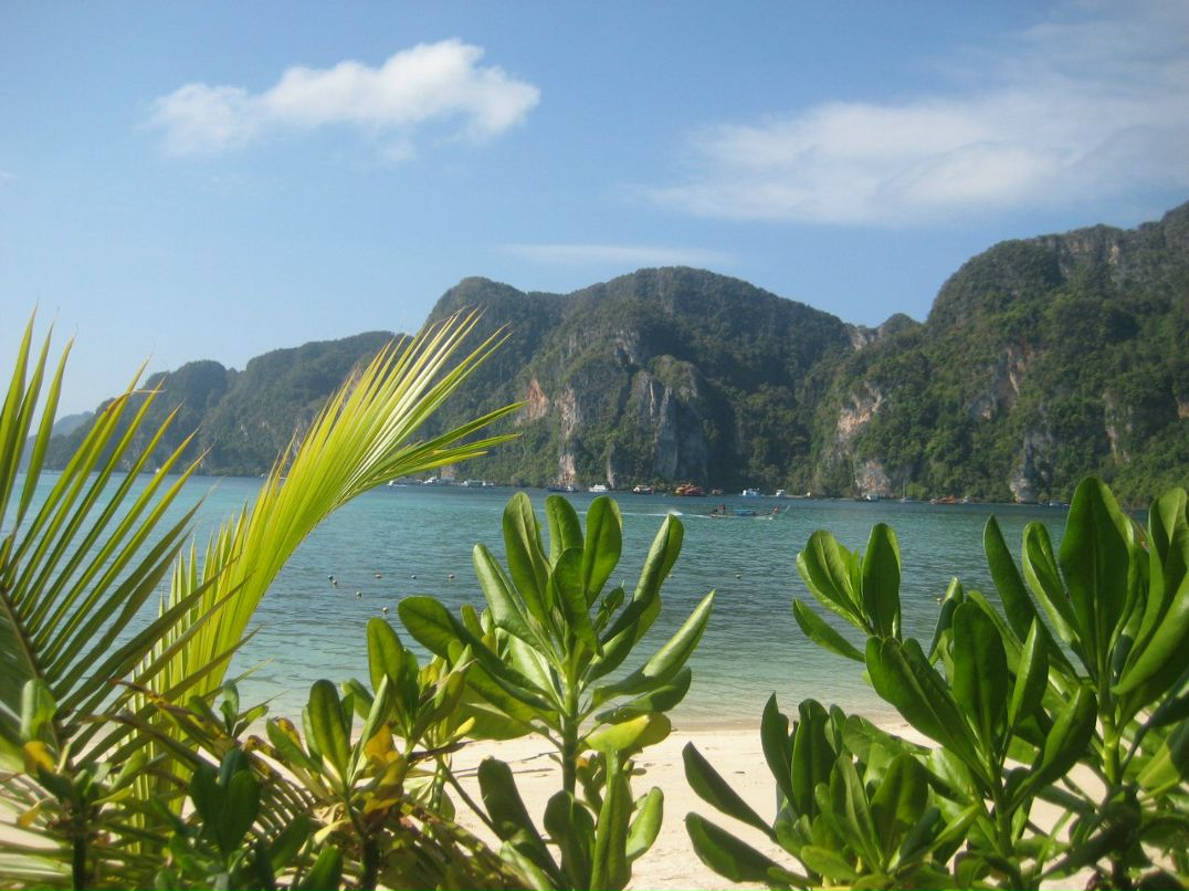 Олеся Петрова ღ Lisa Alissa ღ | Москва