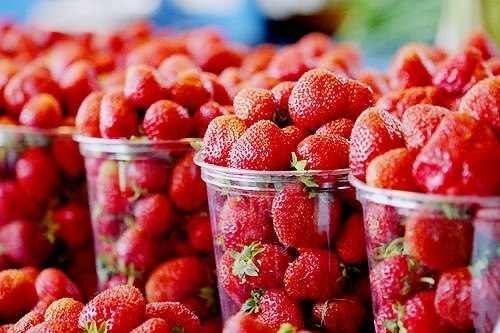 Каролина Гвасалия | Сочи