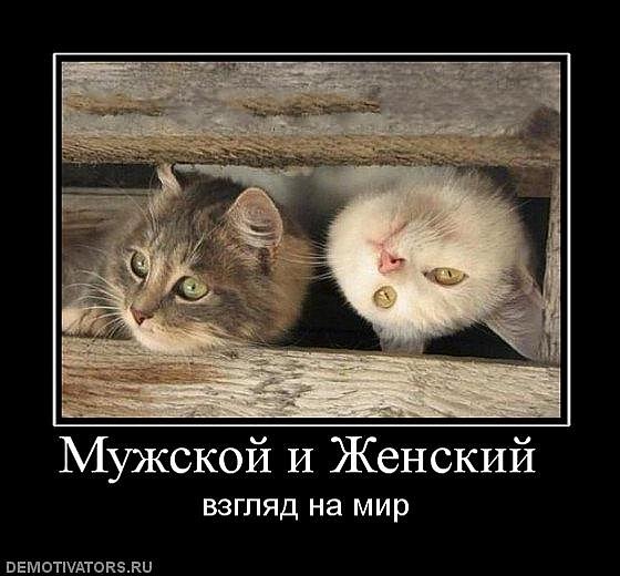 №5, Валенок Валенок, Pago Pago №5, Валенок Валенок, Pago Pago